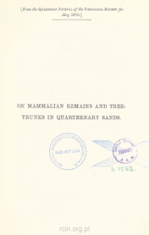 On mammalian remains and tree trunks in quarternary sands