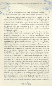 Note on the sexual apertures of the Lepidopteran chrysalis