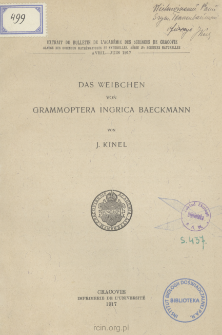 Das Weibchen von Grammoptera ingrica Baeckmann = Samica chrząszcza Grammoptera ingrica Baeckmann