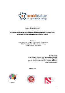 Brain size and cognitive abilities of laboratory mice divergently selected for Basal of Peak Metabolic Rates : PhD thesis