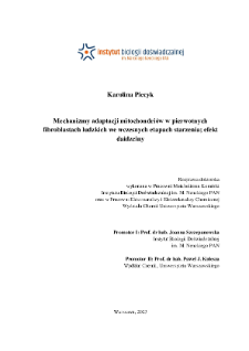 Mechanizmy adaptacji mitochondri&oacute;w w pierwotnych fibroblastach ludzkich we wczesnych etapach starzenia - efekt daidzeiny : praca doktorska