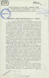 Coptolabrus Jankowskii Fusanus nov. subspec.