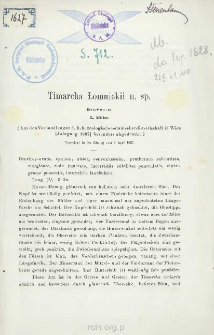 Timarcha Lomnickii n. sp.