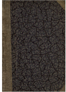 Stanisław Przybyszewski : księga pamiątkowa : 26 IX 1931.