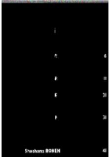 Teksty Drugie Nr 6 (2004), Spis treści