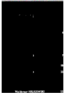 Teksty Drugie Nr 1 (2001), Spis treści