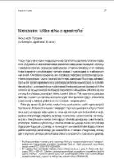 Metabasis: kilka słów o apostrofie