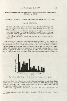 Activity and behaviour of captive Crocidura suaveolens cassiteridum (Hinton, 1924)