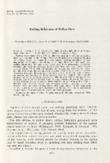 Rutting behaviour of fallow deer