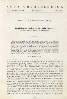 Morphological studies on the main branches of the radial nerve in mammals