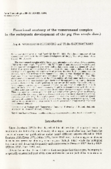 Functional anatomy of the vomeronasal complex in the embryonic development of the pig ( Sus scrofa dom. )