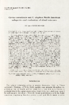 Cervus canadensis and C. elaphus : North American subspecies and evaluation of clinal extremes