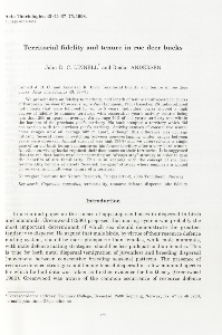 Territorial fidelity and tenure in roe deer bucks