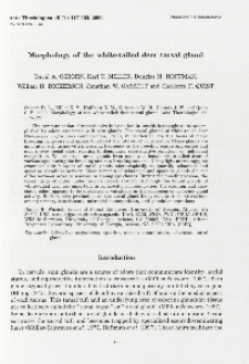 Morphology of the white-tailed deer tarsal gland