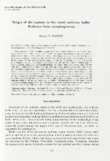 Origin of the septum in the canid auditory bulla: Evidence from morphogenesis