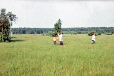 Fragment krajobrazu rezerwatu, Dr Szymański, St. Buszko, Tomek Pucek