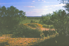 Piaszczyste wydmy Nowego Światu