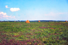 Powierzchnia nr 4. Łąki kośne fotografowane w stronę Ciszewa, w głębi, w szuwarach pow. nr 3 po lewej stronie Jegrzni