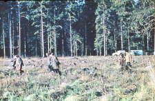 Uczestnicy konferencji grupy kopytnych na wycieczce terenowej w Puszczy Białowieskiej