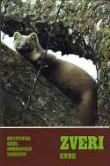 Zveri I: kune - Mustelidae