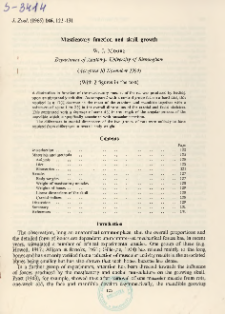 Masticatory function and skull growth