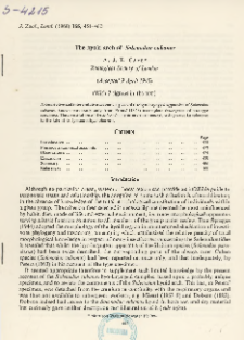 The hyoid arch of Solenodon cubanus