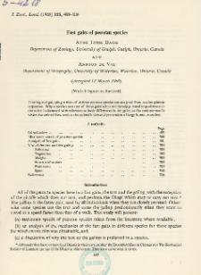 Fast gaits of pecoran species