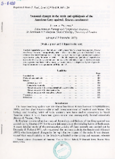 Seasonal changes in the testis and epididymis of the American Grey squirrel, Sciurus carolinensis