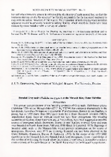 Branded Grey seals (Halichoerus grypus) at the Monach Isles, Outer Hebrides