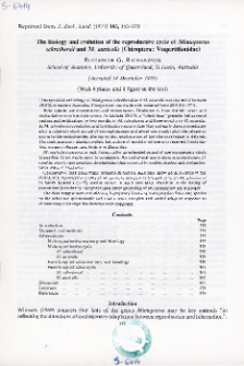 The biology and evolution of the reproductive cycle of Miniopterus schreibersii and M. australis (Chiroptera: Vespertilionidae)