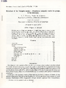 Behaviour of the Talapoin monkey (Miopithecus talapoin) studied in groups, in the laboratory