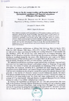 Notes on the dry season roosting and foraging behaviour of Epomophorus gambianus and Rousettus aegyptiacus (Chiroptera: Pteropodidae)