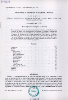 Vocalizations of nine species of rat (Rattus; Muridae)