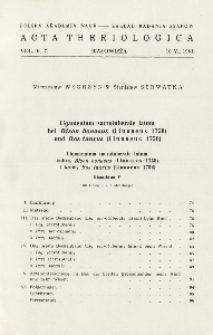 Bisoniana V. Ligamentum sacrotuberale latum bei Bison bonasus (Linnaeus 1758) und Bos taurus (Linnaeus 1758); Ligamentum sacrotuberale latum żubra, Bisoniana V. Bison bonasus (Linnaeus 1758) i krowy Bos taurus (Linnaeus 1758)