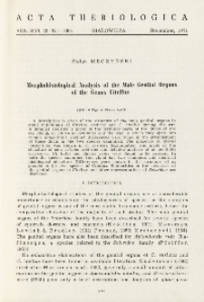 Morphohistological analysis of the male genital organs of the genus Citellus