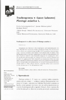 Tracheogeneza w tkance kalusowej Plantago asiatica L.