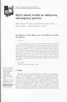 Wpływ jakości światła na somatyczną embriogenezę pszenicy