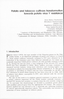 Potato and tobacco cultivars transformation towards potato virus Y resistance