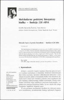 Molecular basics of protein biosynthesis - function of 23S rRN