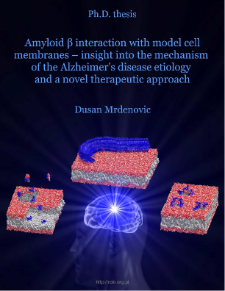 Amyloid β interaction with model cell membranes - insight into the mechanism of the Alzheimer's disease etiology and a novel therapeutic approach
