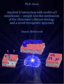 Amyloid &beta; interaction with model cell membranes - insight into the mechanism of the Alzheimer's disease etiology and a novel therapeutic approach
