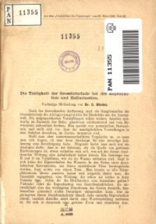 Die Thätigkeit der Grosshirnrinde bei der Reproduction und Hallucination