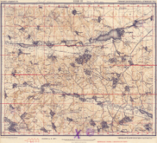 XXXIII - 22 : volynsk. i podolʹsk. gub. : starokonst., proskur., iz&acirc;slavlʹsk. i letičevskago uězd.