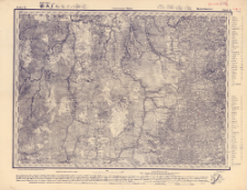 Reihe IX. Blatt 9. Brontscharow : Gouvernement P&szlig;kow