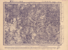 Reihe IX. Blatt 7. Opotschka : Gouvernement P&szlig;kow und Witebsk