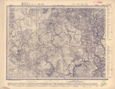 Reihe XI. Blatt 9. Welish : Gouvernement Witeb&szlig;k u. Pskow