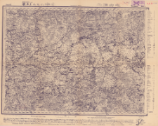 Reihe VII. Blatt 5. Wolmar : Gouvernement Kurland