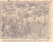Reihe XIX. Blatt 6. Dawyd Gorodok : Gouvernement Minsk