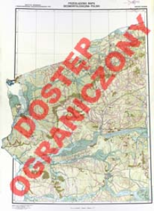 Przeglądowa mapa geomorfologiczna Polski : 1:500 000. Arkusz Poznań