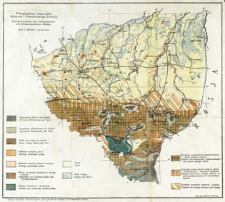 Przeglądowa mapa gleb Wołynia i południowego Polesia : skala 1:800 000